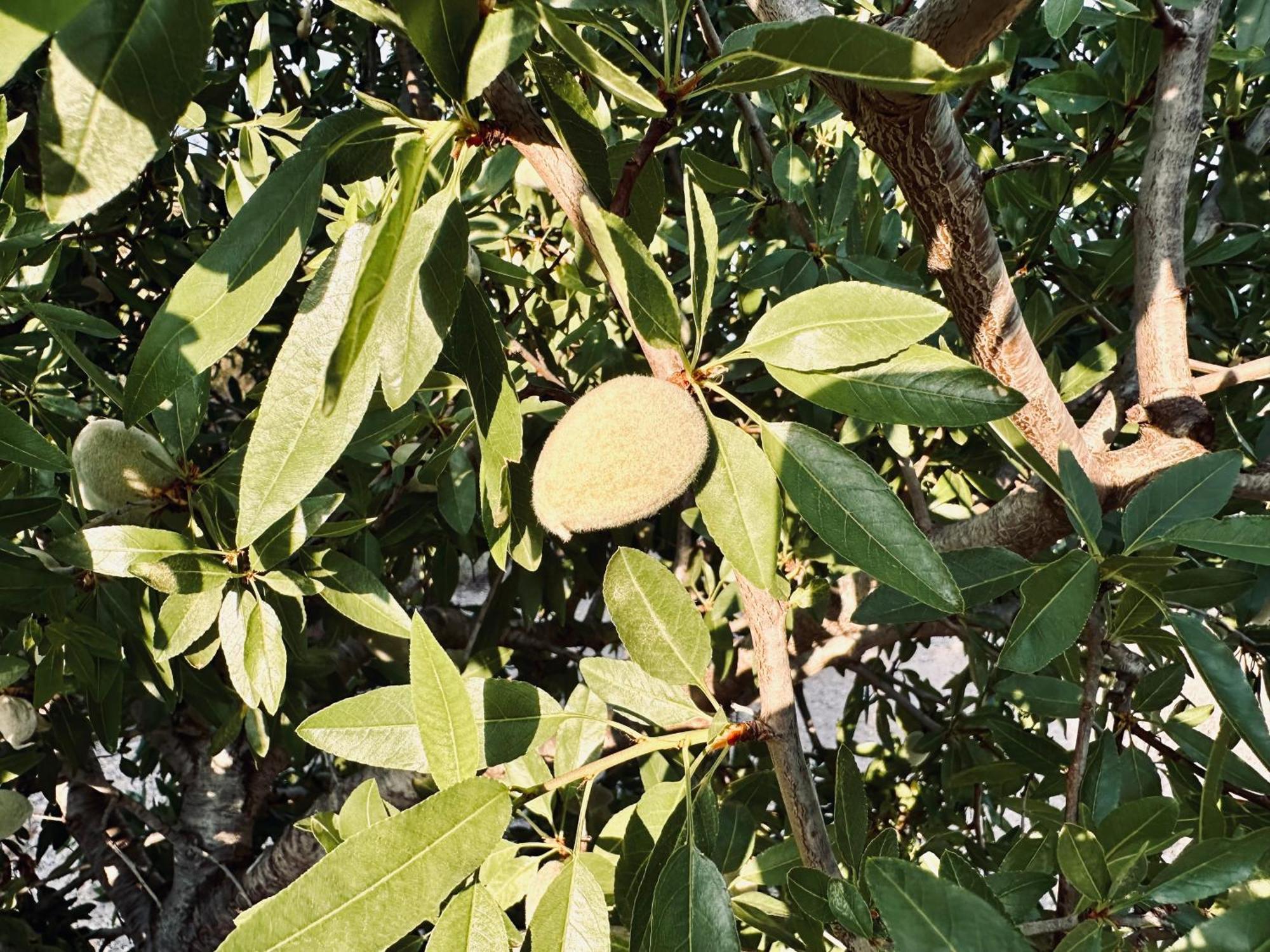 Finca Ocha - Calblanque 罗斯贝洛内斯 外观 照片