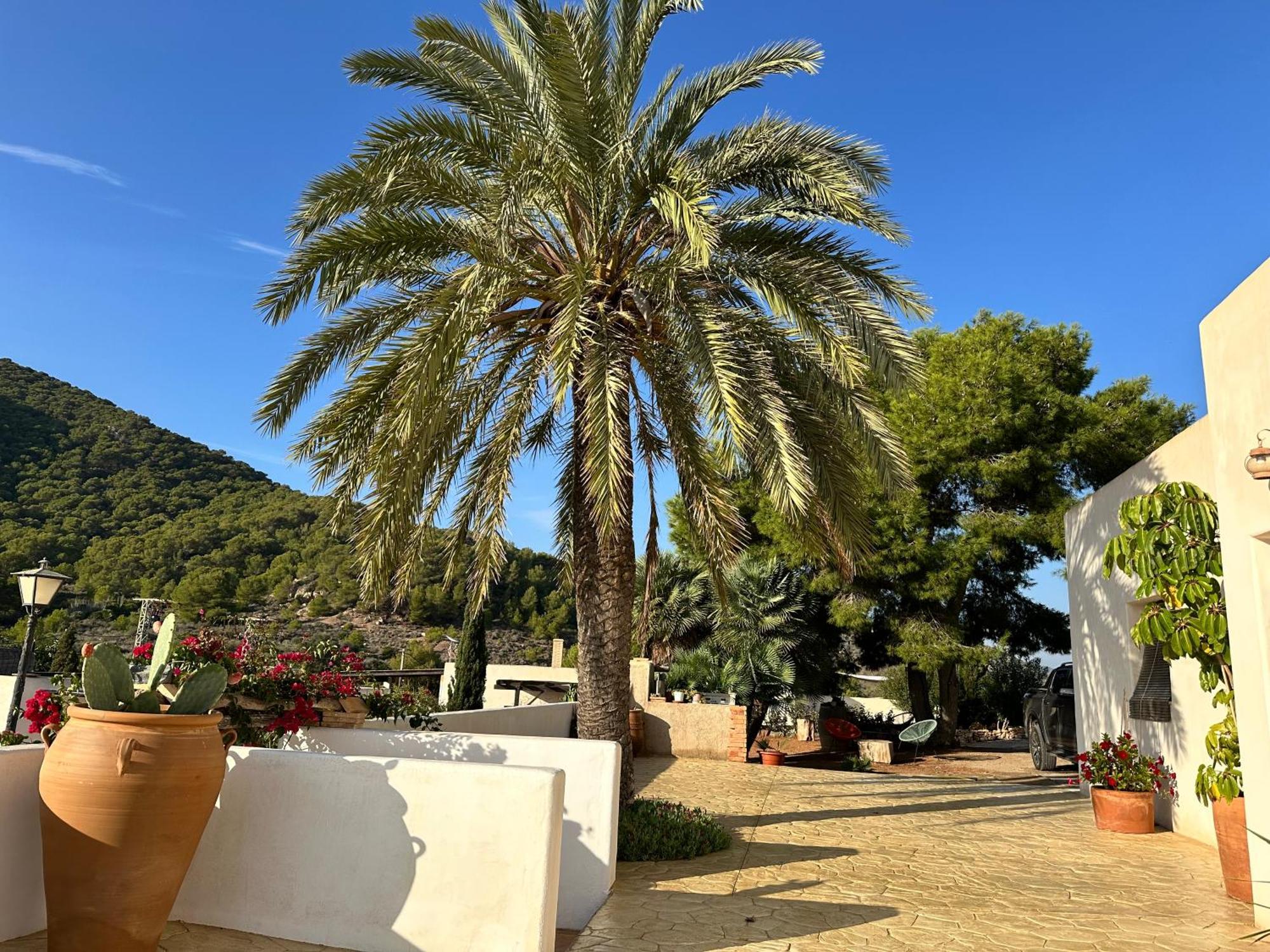 Finca Ocha - Calblanque 罗斯贝洛内斯 外观 照片