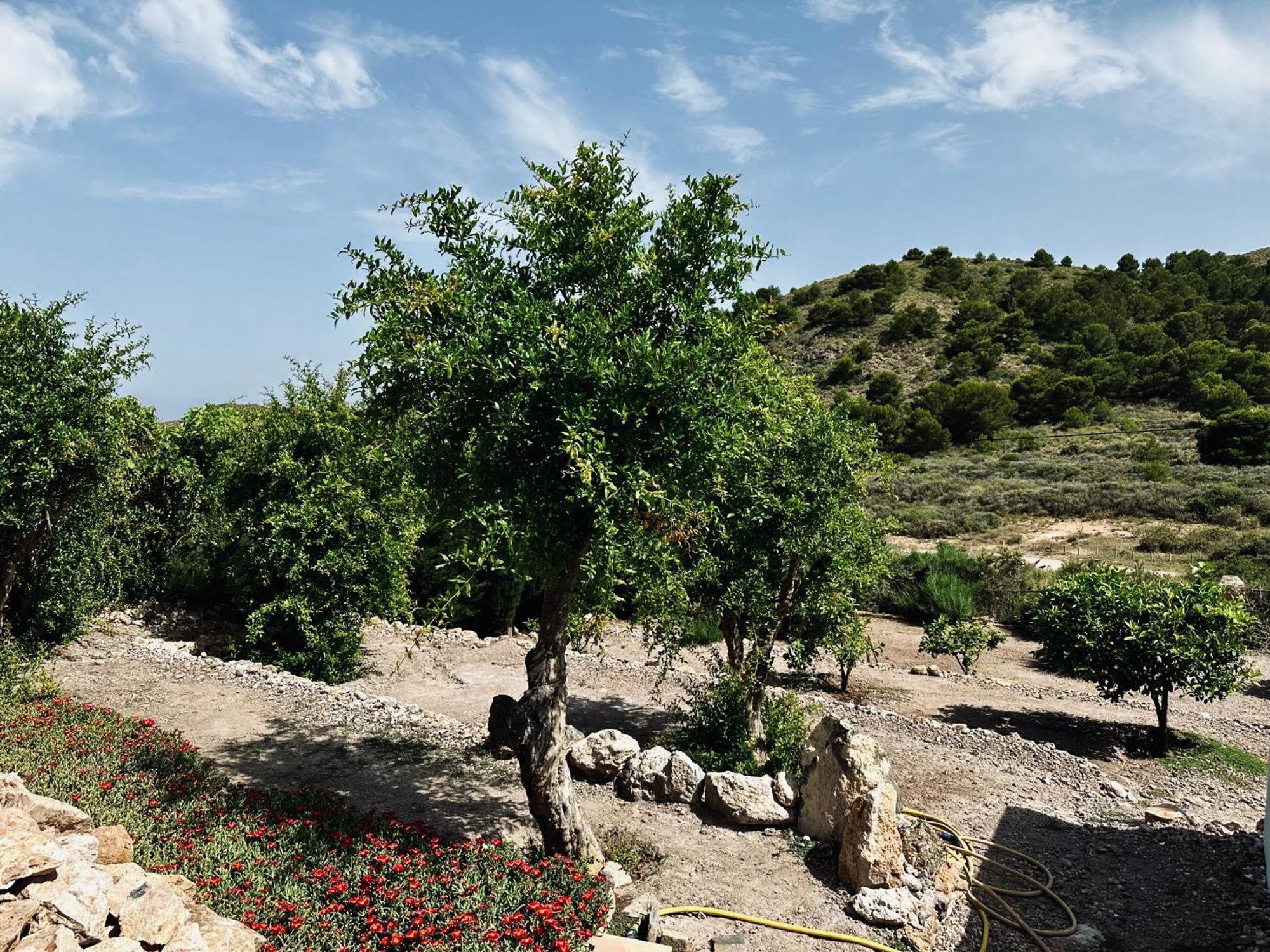 Finca Ocha - Calblanque 罗斯贝洛内斯 外观 照片