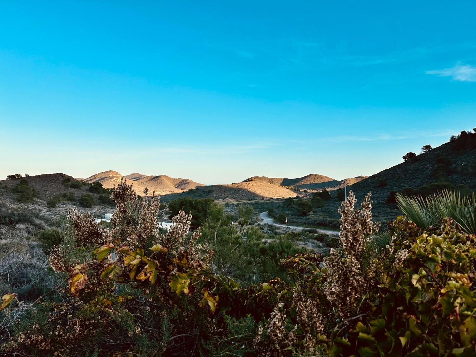 Finca Ocha - Calblanque 罗斯贝洛内斯 外观 照片