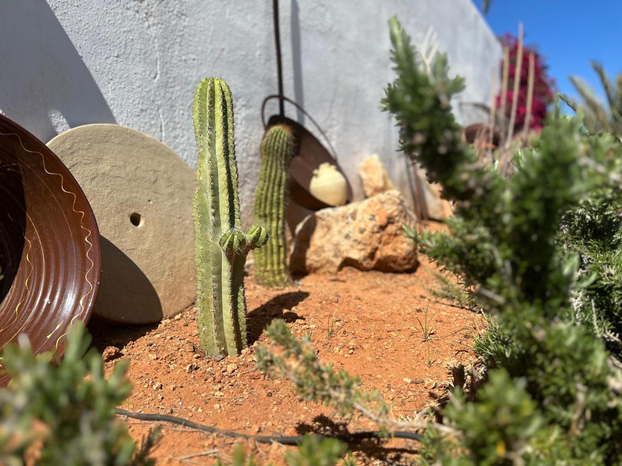 Finca Ocha - Calblanque 罗斯贝洛内斯 外观 照片