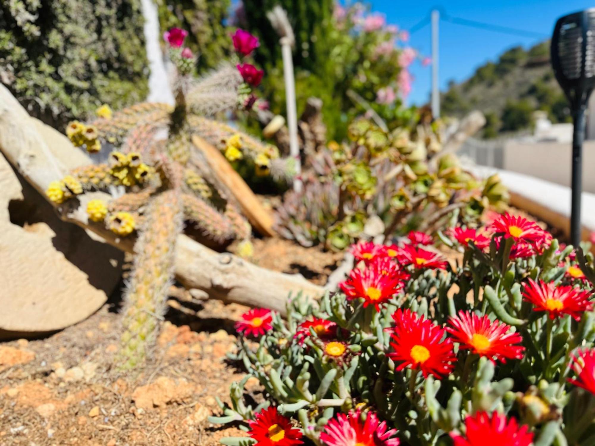 Finca Ocha - Calblanque 罗斯贝洛内斯 外观 照片