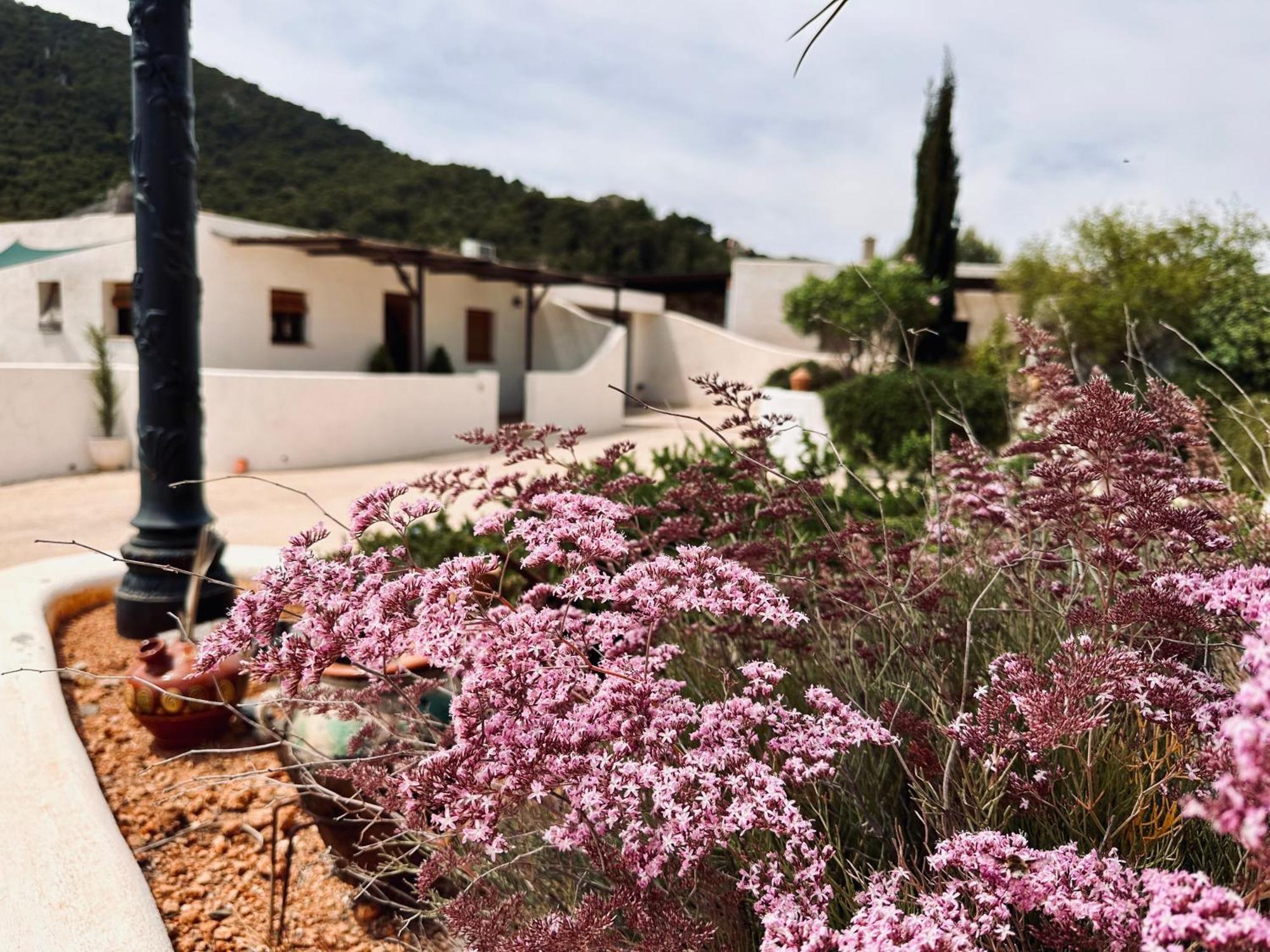 Finca Ocha - Calblanque 罗斯贝洛内斯 外观 照片